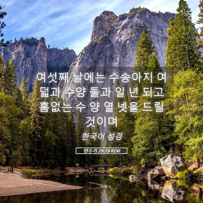 Picture 05 - 민수기 29:29 KOR - 여섯째 날에는 수송아지 여덟과 수양 - Bible Verse Picture
