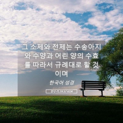 Picture 05 - 민수기 29:37 KOR - 그 소제와 전제는 수송아지와 수양과 - Bible Verse Picture