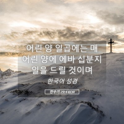 Picture 05 - 민수기 29:4 KOR - 어린 양 일곱에는 매 어린 양에 에바 - Bible Verse Picture