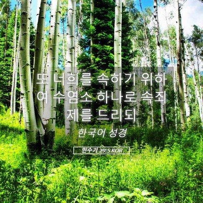 Picture 05 - 민수기 29:5 KOR - 또 너희를 속하기 위하여 수염소 - Bible Verse Picture