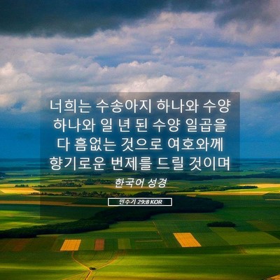 Picture 05 - 민수기 29:8 KOR - 너희는 수송아지 하나와 수양 하나와 - Bible Verse Picture