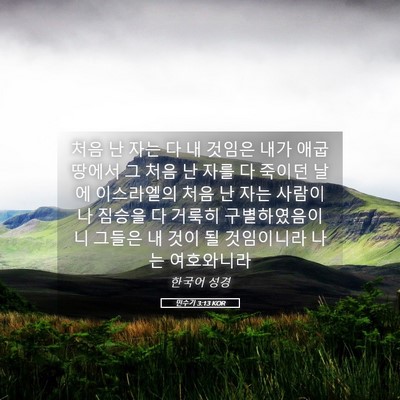 Picture 05 - 민수기 3:13 KOR - 처음 난 자는 다 내 것임은 내가 애굽 - Bible Verse Picture