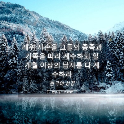 Picture 05 - 민수기 3:15 KOR - 레위 자손을 그들의 종족과 가족을 - Bible Verse Picture