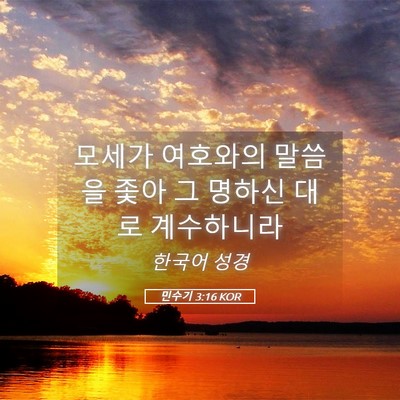 Picture 05 - 민수기 3:16 KOR - 모세가 여호와의 말씀을 좇아 그 - Bible Verse Picture