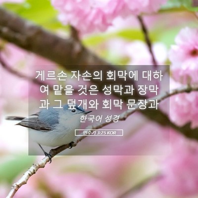 Picture 05 - 민수기 3:25 KOR - 게르손 자손의 회막에 대하여 맡을 - Bible Verse Picture