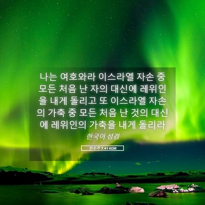 Picture 05 - 민수기 3:41 KOR - 나는 여호와라 이스라엘 자손 중 - Bible Verse Picture