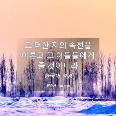 Picture 05 - 민수기 3:48 KOR - 그 더한 자의 속전을 아론과 그 - Bible Verse Picture