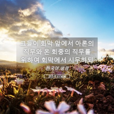 Picture 05 - 민수기 3:7 KOR - 그들이 회막 앞에서 아론의 직무와 - Bible Verse Picture
