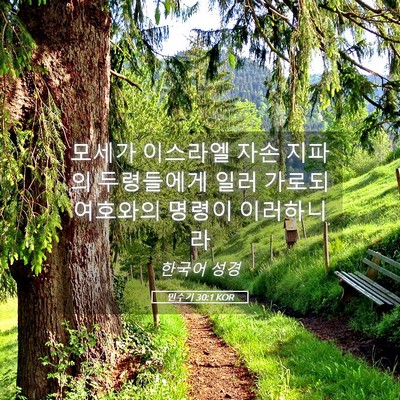 Picture 05 - 민수기 30:1 KOR - 모세가 이스라엘 자손 지파의 - Bible Verse Picture