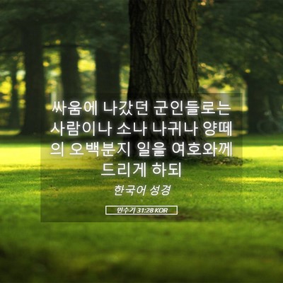 Picture 05 - 민수기 31:28 KOR - 싸움에 나갔던 군인들로는 사람이나 - Bible Verse Picture
