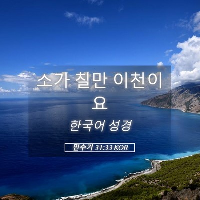 Picture 05 - 민수기 31:33 KOR - 소가 칠만 - Bible Verse Picture
