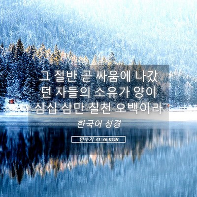 Picture 05 - 민수기 31:36 KOR - 그 절반 곧 싸움에 나갔던 자들의 - Bible Verse Picture
