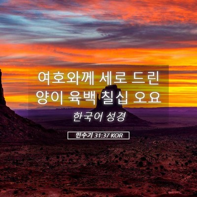 Picture 05 - 민수기 31:37 KOR - 여호와께 세로 드린 양이 육백 칠십 - Bible Verse Picture