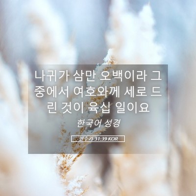 Picture 05 - 민수기 31:39 KOR - 나귀가 삼만 오백이라 그 중에서 - Bible Verse Picture