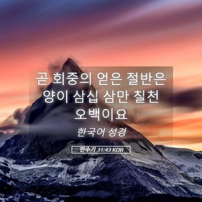 Picture 05 - 민수기 31:43 KOR - 곧 회중의 얻은 절반은 양이 삼십 - Bible Verse Picture