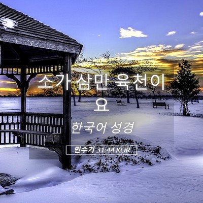 Picture 05 - 민수기 31:44 KOR - 소가 삼만 - Bible Verse Picture