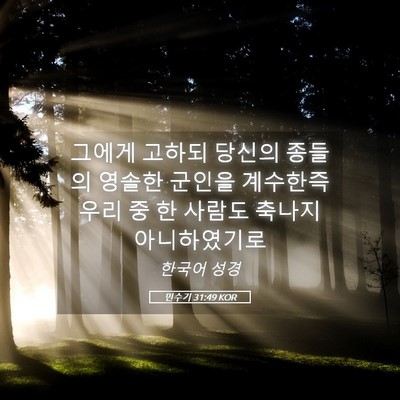 Picture 05 - 민수기 31:49 KOR - 그에게 고하되 당신의 종들의 영솔한 - Bible Verse Picture
