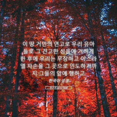 Picture 05 - 민수기 32:17 KOR - 이 땅 거민의 연고로 우리 유아들로 - Bible Verse Picture