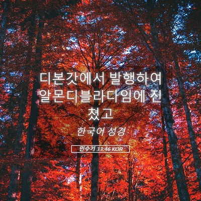 Picture 05 - 민수기 33:46 KOR - 디본갓에서 발행하여 - Bible Verse Picture