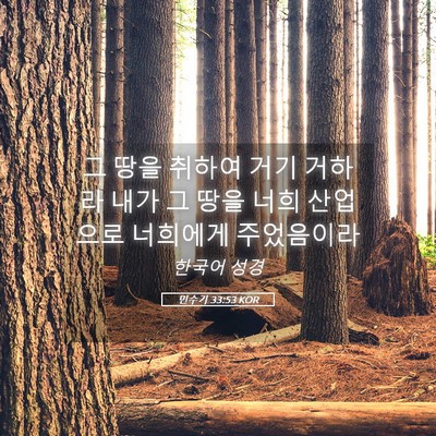 Picture 05 - 민수기 33:53 KOR - 그 땅을 취하여 거기 거하라 내가 그 - Bible Verse Picture