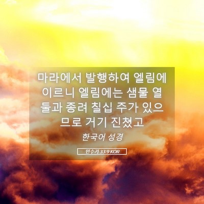 Picture 05 - 민수기 33:9 KOR - 마라에서 발행하여 엘림에 이르니 - Bible Verse Picture