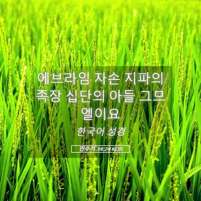 Picture 05 - 민수기 34:24 KOR - 에브라임 자손 지파의 족장 십단의 - Bible Verse Picture