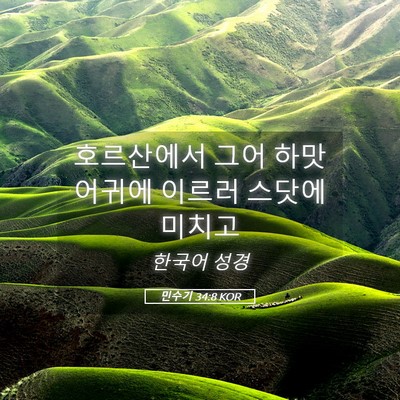 Picture 05 - 민수기 34:8 KOR - 호르산에서 그어 하맛 어귀에 이르러 - Bible Verse Picture