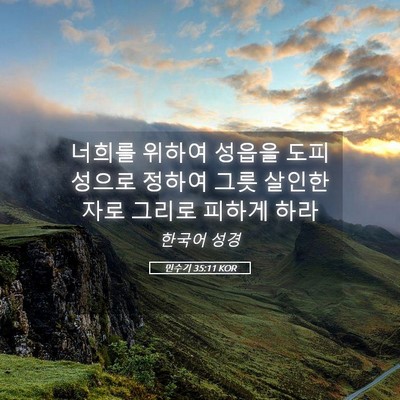 Picture 05 - 민수기 35:11 KOR - 너희를 위하여 성읍을 도피성으로 - Bible Verse Picture