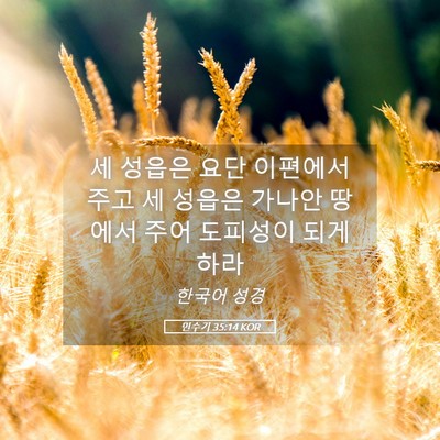 Picture 05 - 민수기 35:14 KOR - 세 성읍은 요단 이편에서 주고 세 - Bible Verse Picture