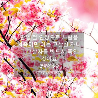 Picture 05 - 민수기 35:16 KOR - 만일 철 연장으로 사람을 쳐죽이면 - Bible Verse Picture