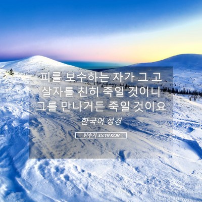 Picture 05 - 민수기 35:19 KOR - 피를 보수하는 자가 그 고살자를 - Bible Verse Picture