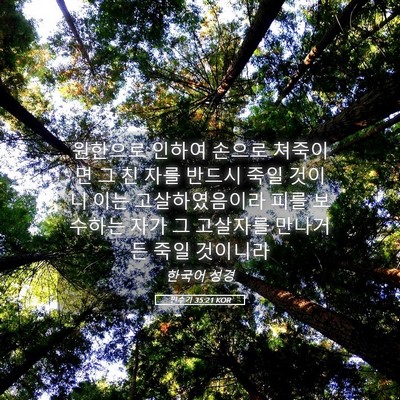 Picture 05 - 민수기 35:21 KOR - 원한으로 인하여 손으로 쳐죽이면 그 - Bible Verse Picture
