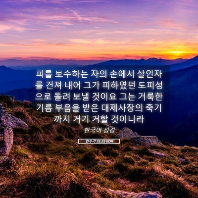 Picture 05 - 민수기 35:25 KOR - 피를 보수하는 자의 손에서 살인자를 - Bible Verse Picture