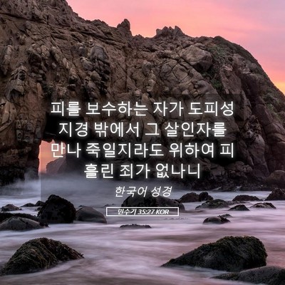 Picture 05 - 민수기 35:27 KOR - 피를 보수하는 자가 도피성 지경 - Bible Verse Picture