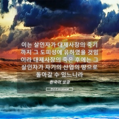 Picture 05 - 민수기 35:28 KOR - 이는 살인자가 대제사장의 죽기까지 - Bible Verse Picture
