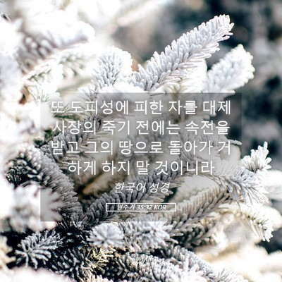 Picture 05 - 민수기 35:32 KOR - 또 도피성에 피한 자를 대제사장의 - Bible Verse Picture