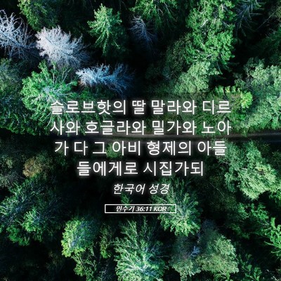 Picture 05 - 민수기 36:11 KOR - 슬로브핫의 딸 말라와 디르사와 - Bible Verse Picture