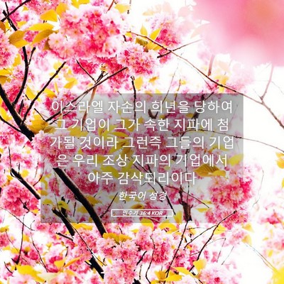 Picture 05 - 민수기 36:4 KOR - 이스라엘 자손의 희년을 당하여 그 - Bible Verse Picture