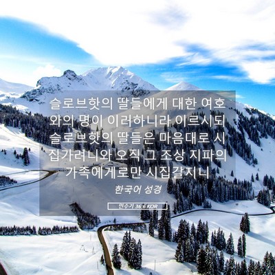 Picture 05 - 민수기 36:6 KOR - 슬로브핫의 딸들에게 대한 여호와의 - Bible Verse Picture