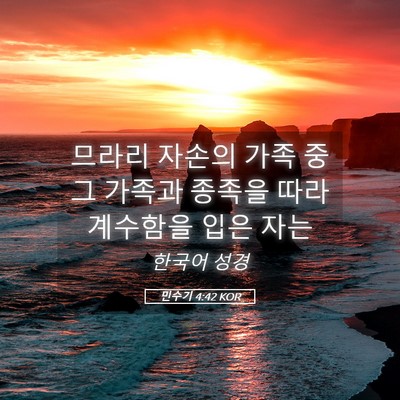 Picture 05 - 민수기 4:42 KOR - 므라리 자손의 가족 중 그 가족과 - Bible Verse Picture
