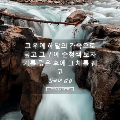 Picture 05 - 민수기 4:6 KOR - 그 위에 해달의 가죽으로 덮고 그 - Bible Verse Picture