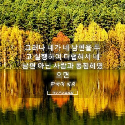 Picture 05 - 민수기 5:20 KOR - 그러나 네가 네 남편을 두고 - Bible Verse Picture