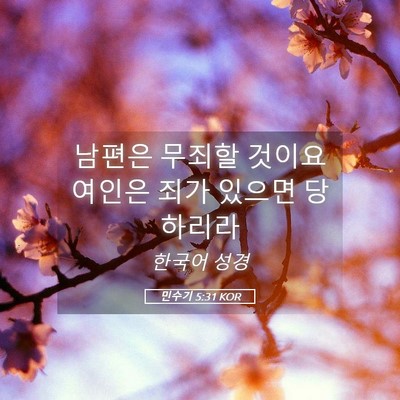 Picture 05 - 민수기 5:31 KOR - 남편은 무죄할 것이요 여인은 죄가 - Bible Verse Picture
