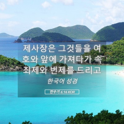 Picture 05 - 민수기 6:16 KOR - 제사장은 그것들을 여호와 앞에 - Bible Verse Picture