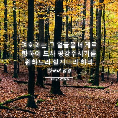 Picture 05 - 민수기 6:26 KOR - 여호와는 그 얼굴을 네게로 향하여 - Bible Verse Picture
