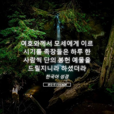 Picture 05 - 민수기 7:11 KOR - 여호와께서 모세에게 이르시기를 - Bible Verse Picture