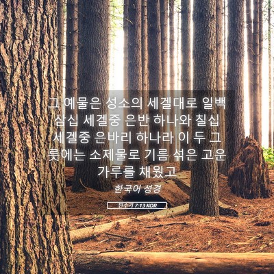 Picture 05 - 민수기 7:13 KOR - 그 예물은 성소의 세겔대로 일백 - Bible Verse Picture