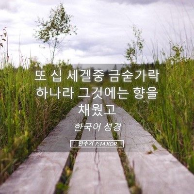 Picture 05 - 민수기 7:14 KOR - 또 십 세겔중 금숟가락 하나라 - Bible Verse Picture