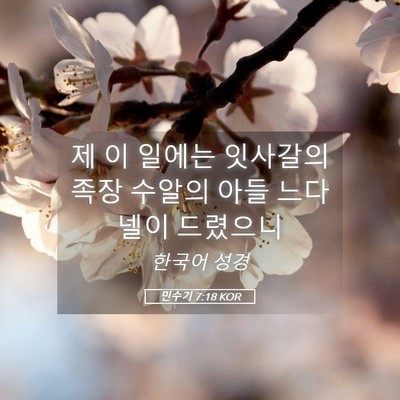 Picture 05 - 민수기 7:18 KOR - 제 이 일에는 잇사갈의 족장 수알의 - Bible Verse Picture