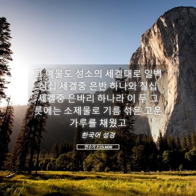 Picture 05 - 민수기 7:25 KOR - 그 예물도 성소의 세겔대로 일백 - Bible Verse Picture
